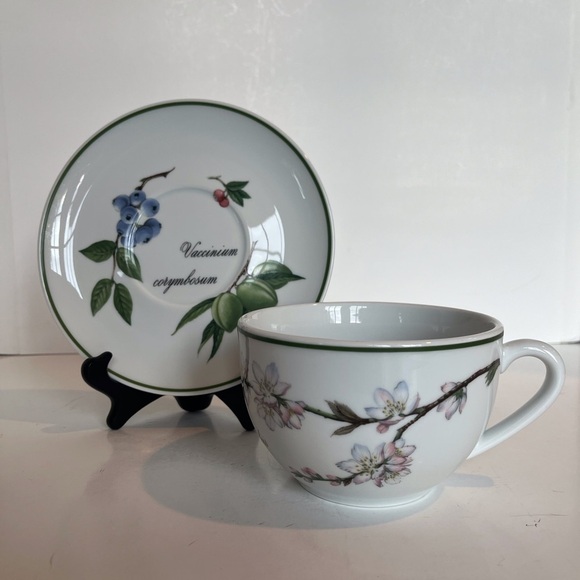 Apilco French Elysian Garden Porcelaine Oversized Breakfast Cup and Saucer - Picture 15 of 15